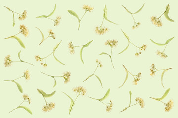 Carpet of lime blossoms wallpaper flat layed on a green background.