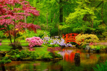 Fototapeta na wymiar Small bridge in Japanese garden, Park Clingendael, The Hague, Netherlands