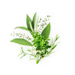 Rosemary, marjoram, sage and thyme composition