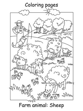 Coloring sheep vector