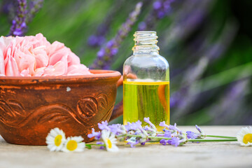 Thai foot massage alternative medicine therapy with Thai herb aroma oil ,background for spa or alternative medical therapy concept.