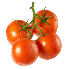 Red tomatoes on a branch, isolated on a white background.
