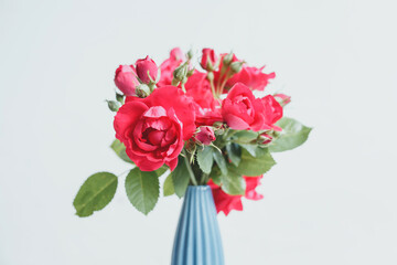 Bouquet of red roses in a blue vase