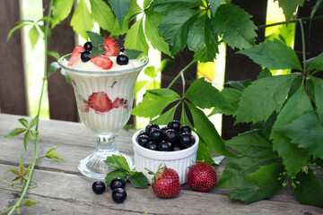 Strawberries, currants with whipped cream and mint leaves .