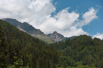 Fototapeta na wymiar montagne paesaggio di montagna bosco foresta