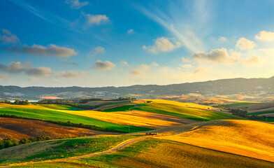 Tuscany countryside panorama, rolling hills and green fields at sunset. Pisa, Italy