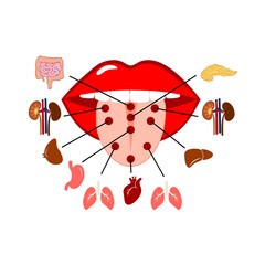 Tongue reflexology chart with images of the corresponding internal organs. Flat simple isolated vector illustration on white background.