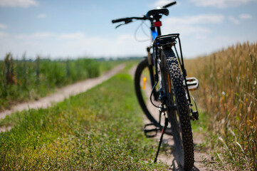Obraz premium focus on the rear wheel the bike stands on the road in the field