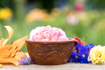 Abstract colorful tulip petals flowers in a wooden bowl. Macro frame. Summer flower card.