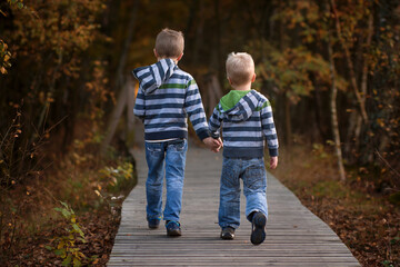 Two brothers walking in the forest on the wooden pathway, siblings hold hands, back view