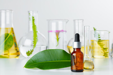 Plants in laboratory glassware. Skincare products and drugs chemical researches concept