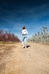 Young red hair girl (wearing a hooded blouse and jeans) on the path between two rural fields of trees with pink and white flowers blooming at spring on a sunny day. Aitona, Catalunya, Spain. Europe.