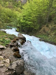 mountain river in the forest