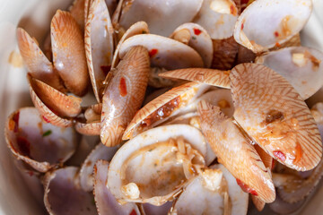 Surf clam, Short necked clam, Carpet clam,Shells, food scraps