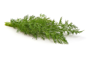 Dill, isolated on white background