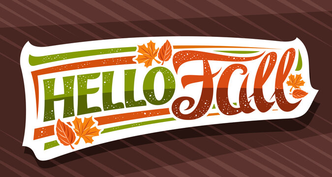 Vector lettering Hello Fall, white label with curly calligraphic font, illustration of decorative falling leaves and confetti, greeting card with swirly unique lettering hello fall on brown background