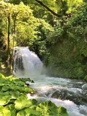 Sun rays to waterfall in the forests