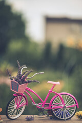 Vintage bicycle in summer meadow made with color vintage tone. Filtered effect. Vintage pink bicycle with flower basket.