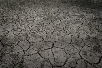 soil crack on a paddy farm which effect of climate changed. concept for arid area ,climate change, sustainability,drought