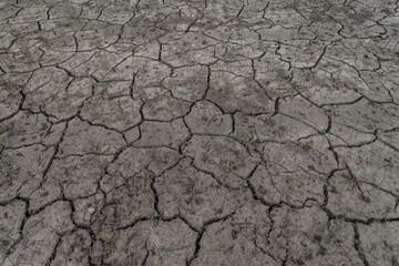 soil crack on a paddy farm which effect of climate changed. concept for arid area ,climate change, sustainability,drought