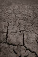 soil crack on a paddy farm which effect of climate changed. concept for arid area ,climate change, sustainability,drought