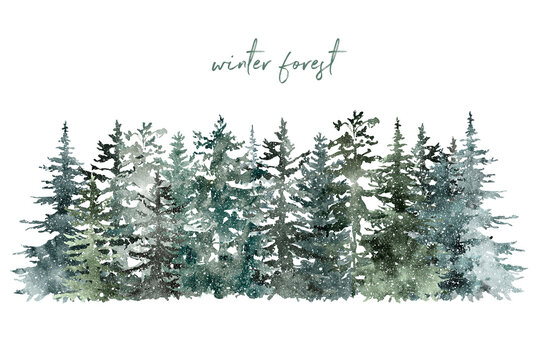 Watercolor winter forest illustration on white background. Hand painted snowy green pine trees landscape. Holiday frame for design. Christmas card template