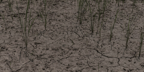 soil crack on an agriculture farm which effect of climate changed. concept for arid area ,climate change, sustainability,drought
