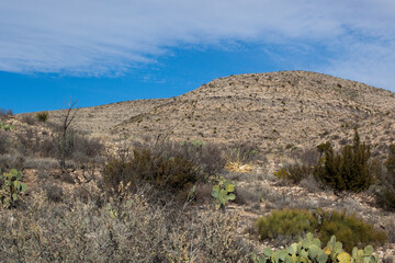 Desert landscape in the sunshine