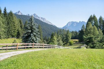 Idyllic summer landscape in the Alps