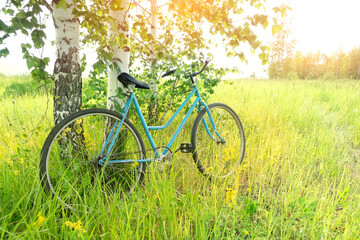 Fototapeta na wymiar old dirty vintage bicycle on grass meadow. travel and sport active concept. summer season landscape