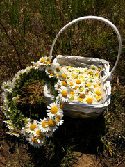 Basket with daisies and a wreath of daisies.
