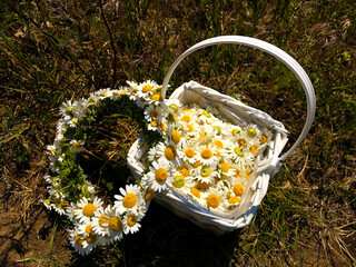 Basket with daisies and a wreath of daisies.