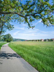Elbwiesen in Dresden, Sachsen, Deutschland - Urbane Landschaft mit Baum und Elbwiesen in...