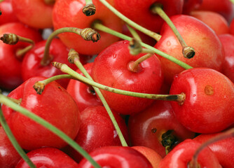 fresh cherry isolated on white background closeup