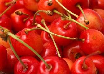 fresh cherry isolated on white background closeup