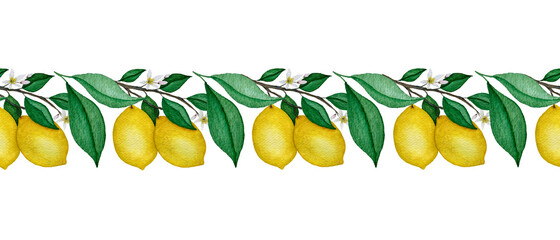 watercolor lemon branch seamless border, ornamental lemon fruit border, beautiful tropical lemon fruit decoration, realistic watercolor fruit illustration