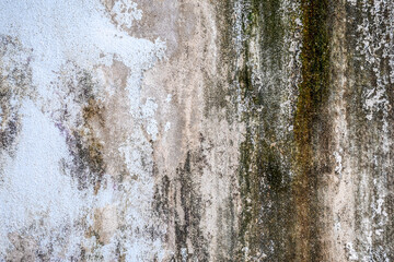 Old dirty concrete wall covered with moss mold
