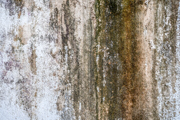 Old dirty concrete wall covered with moss mold