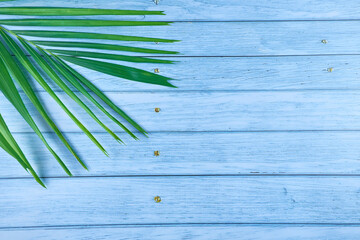 Beautiful tropical  palm leaf on color background, top view.