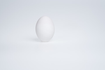 White egg on a white background
