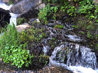 Grass and stream closeup 