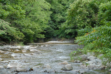 川の流れと風景