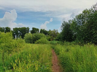 path among green grass and trees against a blue cloudy sky before the rain