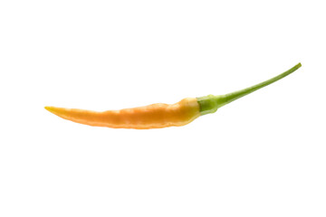 Orange chili pepper on white background