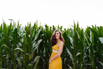 portrait of young beautiful woman wearing a yellow dress standing in a green corn field. Summertime and lifestyle