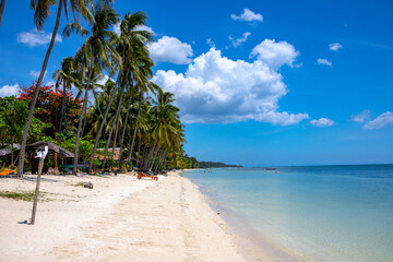 White beach and blue sea exotic landscape. Tropical nature with palm trees. Idyllic place for summer vacation. Empty beach with coral sand and coconut palm forest. South Asia tropical island.