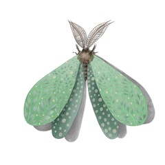 Cute soft green moth with floral pattern on the wings. Isolated on white background. Digital painting 