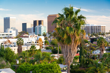 Bevery Hills, California, USA rooftop skyline view with focus on palm trees.