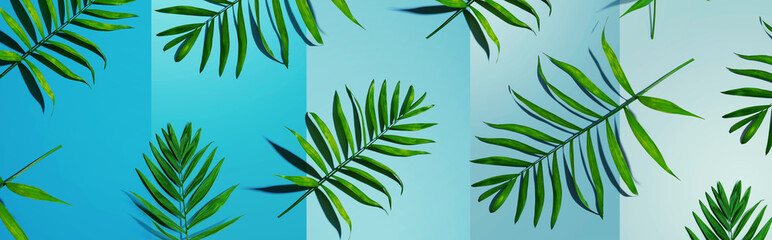 Fototapeta na wymiar Tropical palm leaves from above - flat lay