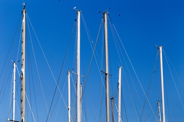 Sailing boat masts against blue sky background on a sunny day. Row of naked poles of water crafts in the port of La Paz, Baja California, Mexico